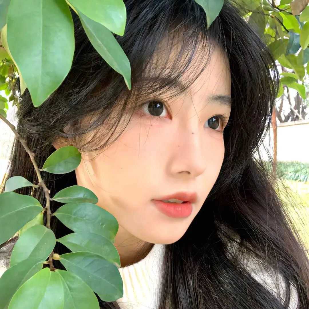 盗爱之家